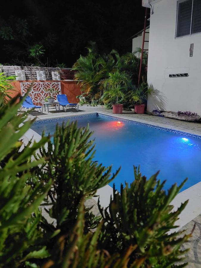 Complejo Villa Las Palmeras Piscina, Billar, Jardin, Bbq @Drvacationsrental Samana Exterior foto
