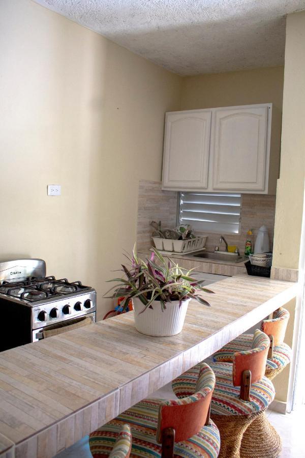 Complejo Villa Las Palmeras Piscina, Billar, Jardin, Bbq @Drvacationsrental Samana Exterior foto